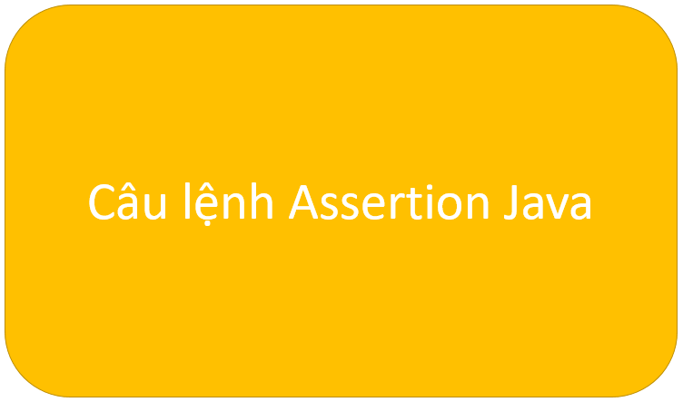 Assertion trong Java - Từ khóa Assert trong lập trình Java